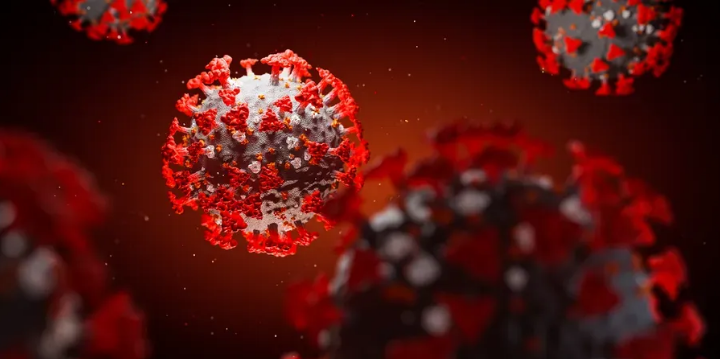 virus