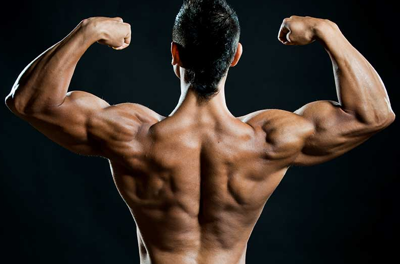 Stanozolol Ingredients