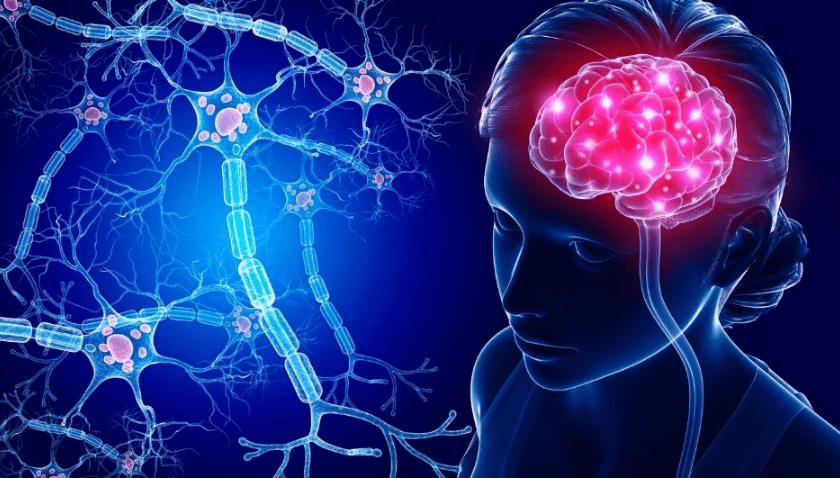 Neuro Fortis Pro Capsules