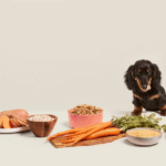 Ollie Dog Meal Plans